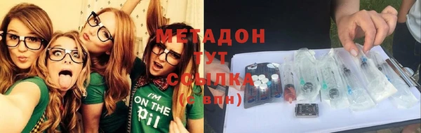 сатива Няндома