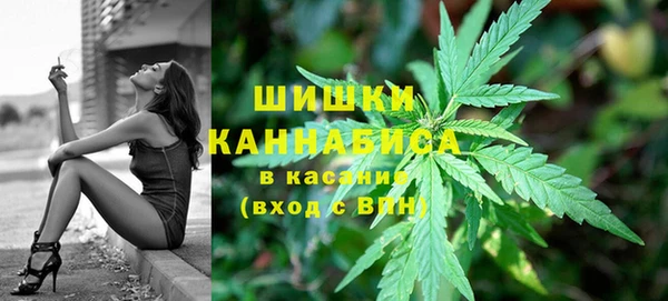 бошки Медногорск