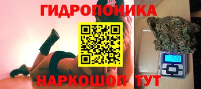 крисы Абинск