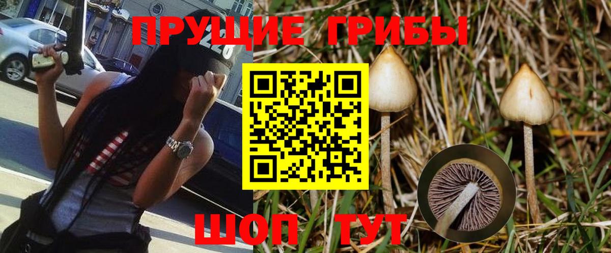 Галлюциногенные грибы ЛСД Абакан