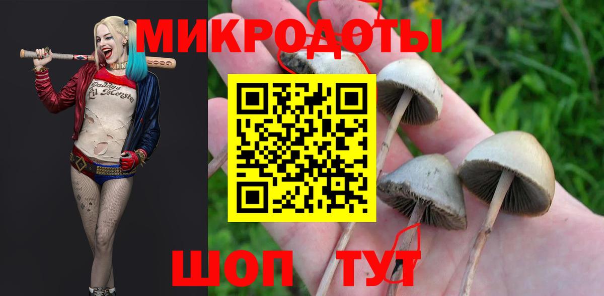 Галлюциногенные грибы Psilocybine cubensis  наркошоп  Абакан  Вход с VPN  Псилоцибиновые грибы мухоморы 