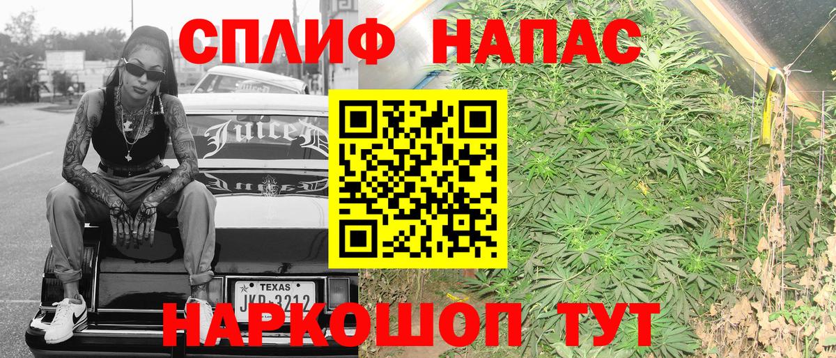 Шишки марихуана сатива  МАРИХУАНА тримм  Бошки марихуана сатива  Абакан 